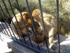 Andalusien_130